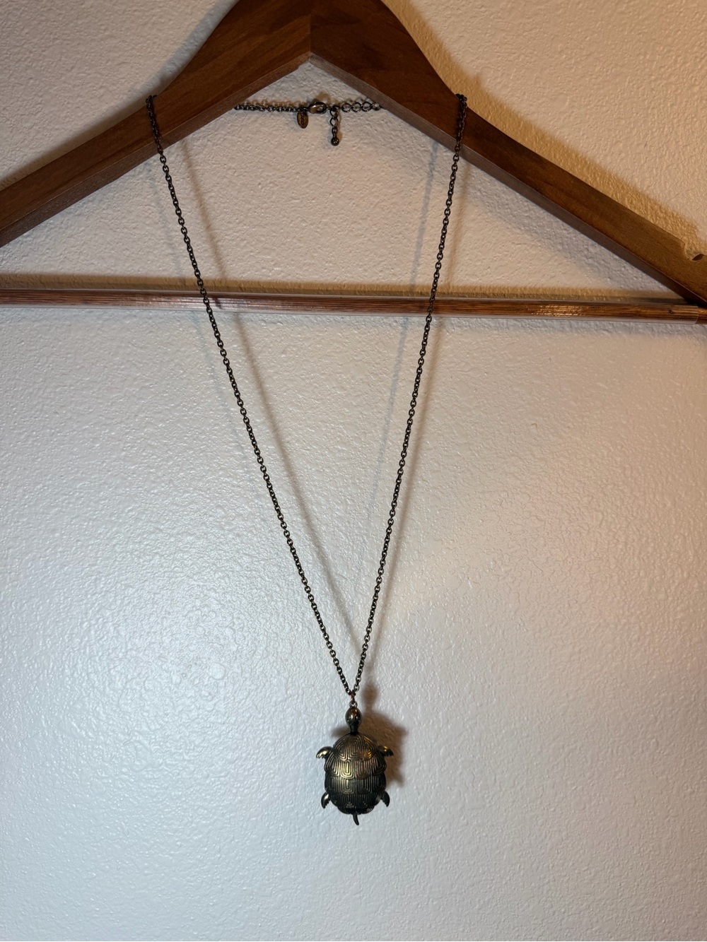 American Eagle Outfitters Dark Gold/Bronze Turtle Charm Necklace